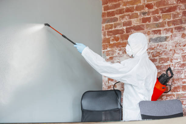 Best Asbestos and Lead Testing During Mold Inspection  in Shackle Island, TN