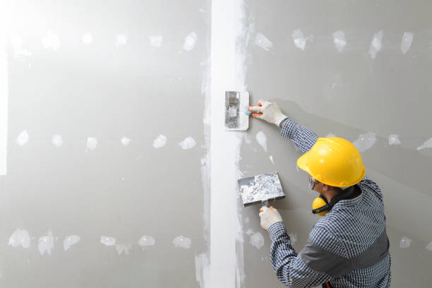 Best Mold-Related Health Consultation  in Shackle Island, TN