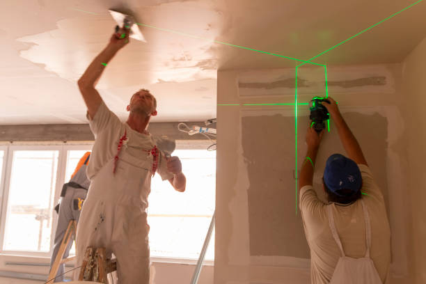 Best Dehumidification Services  in Shackle Island, TN