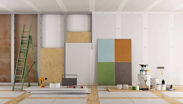 Best Black Mold Removal  in Shackle Island, TN